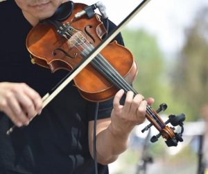 Le monde du violon