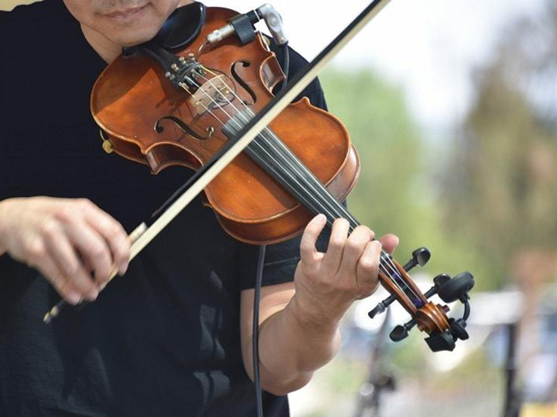 Le monde du violon