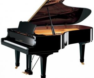 Comment acheter un piano ? En ligne ? En boutique ?